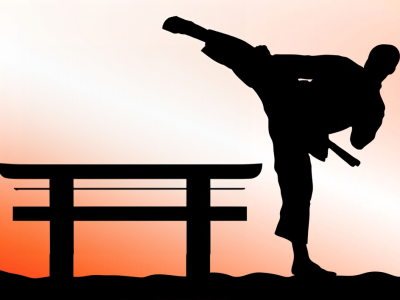 karate karate